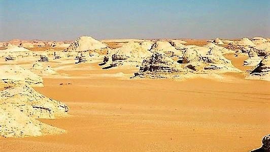 The old white desert Farafra Egypt travel booking.webp